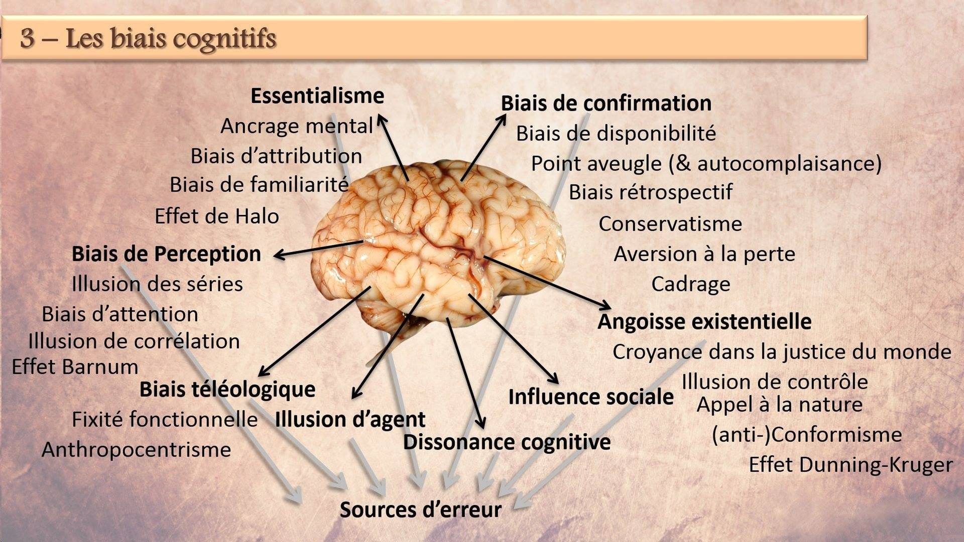 Les biais cognitifs